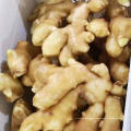 Chinese fresh ginger